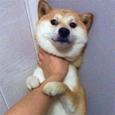 Catriona Gray avatar